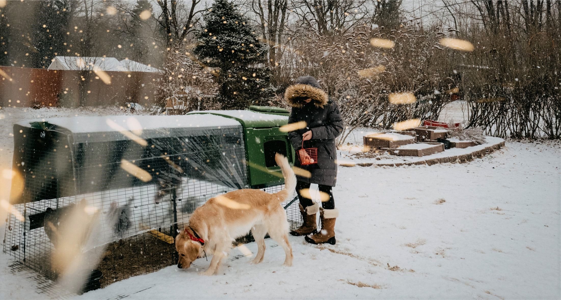 Eine Hühnerhalterin und ihr Hund draußen im Schnee mit einem Eglu-Stall