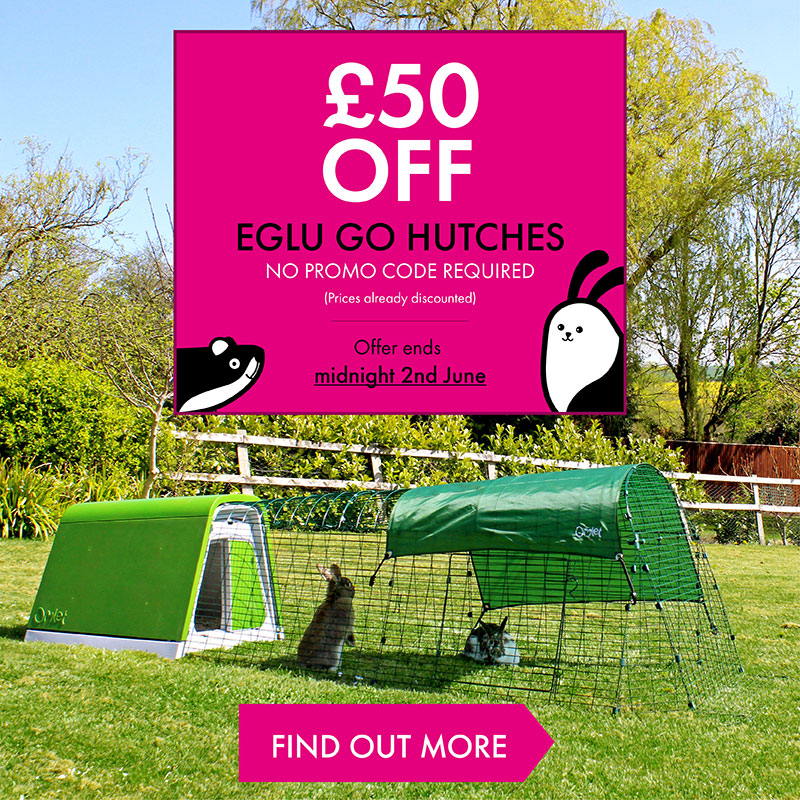 en-eglu-hutch-50-off-banner-varients_homepage-mobile