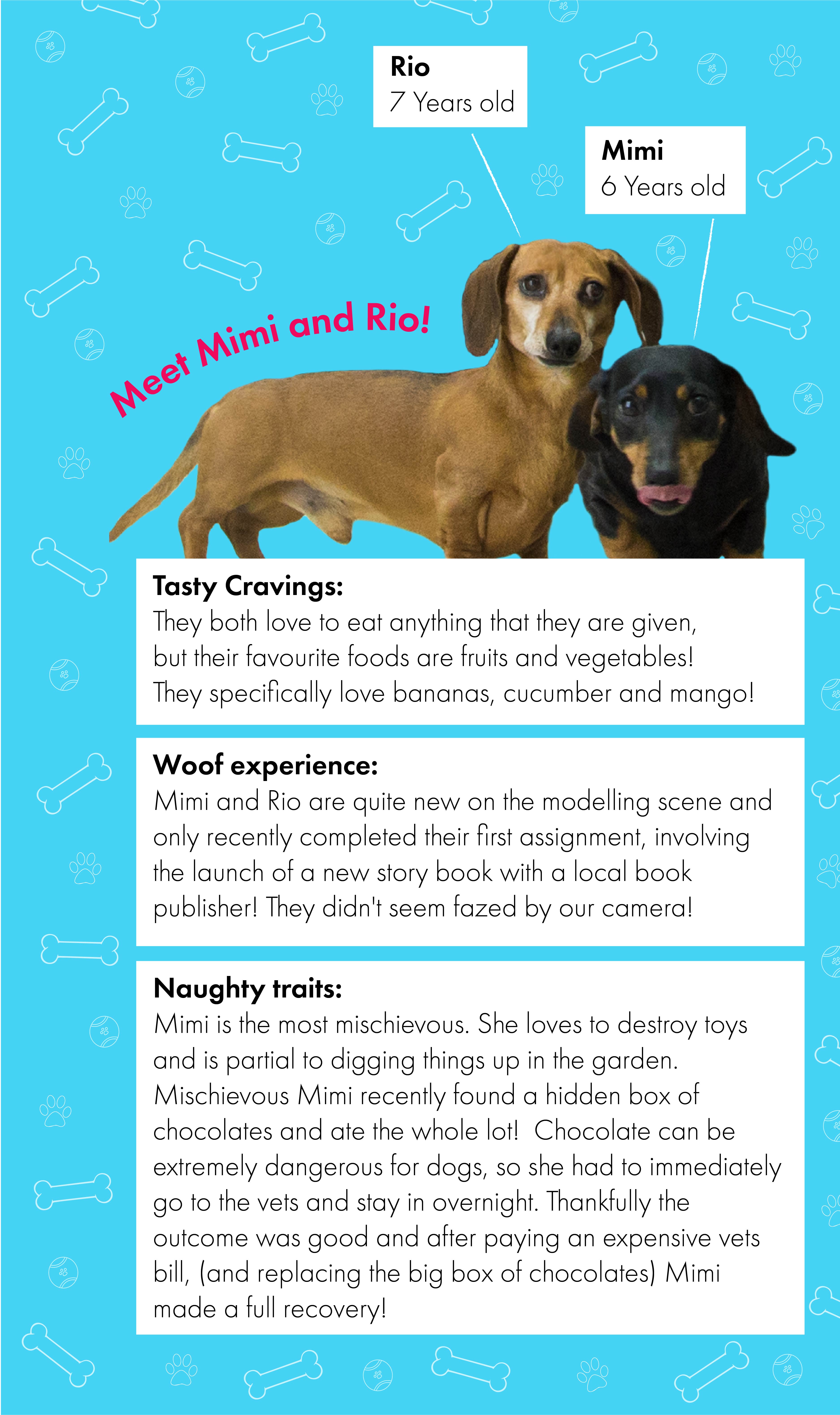 Meet Mimi & Rio - A mischievous pair.