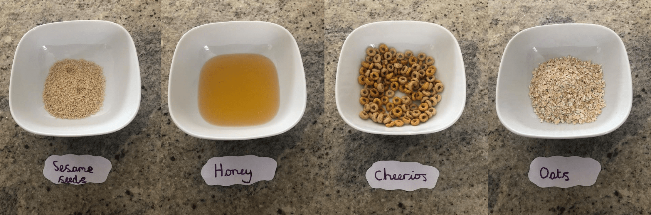 diy hamster food