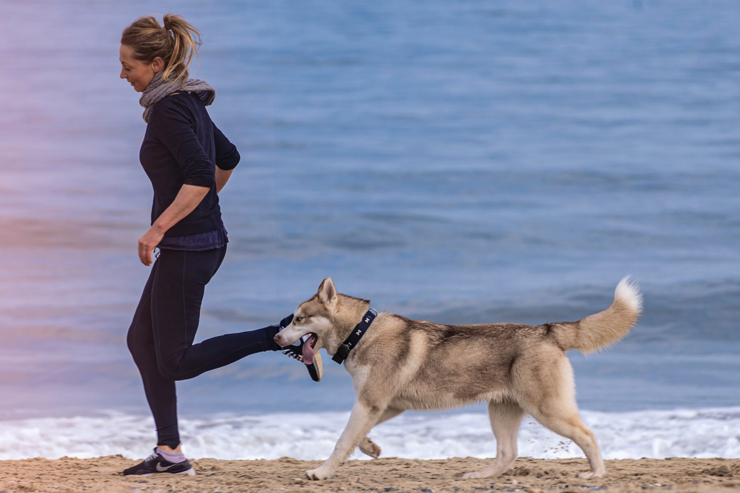 https://blog.omlet.co.uk/wp-content/uploads/sites/9/2019/01/A-woman-jogging-on-a-beach-with-her-dog-scaled.jpg