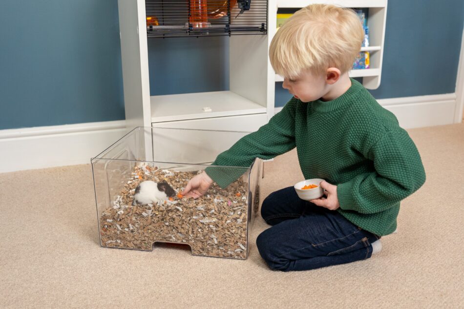 Boy playing with hamster with Omlet Qute hamster cage behind him