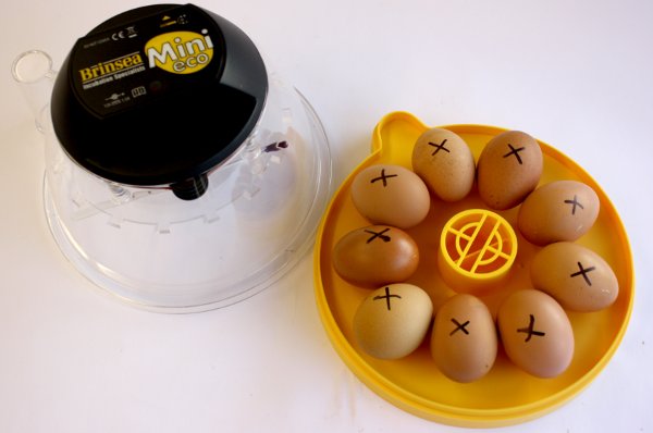 Brinsea Mini ll Eco Starter Pack egg incubating equipment 