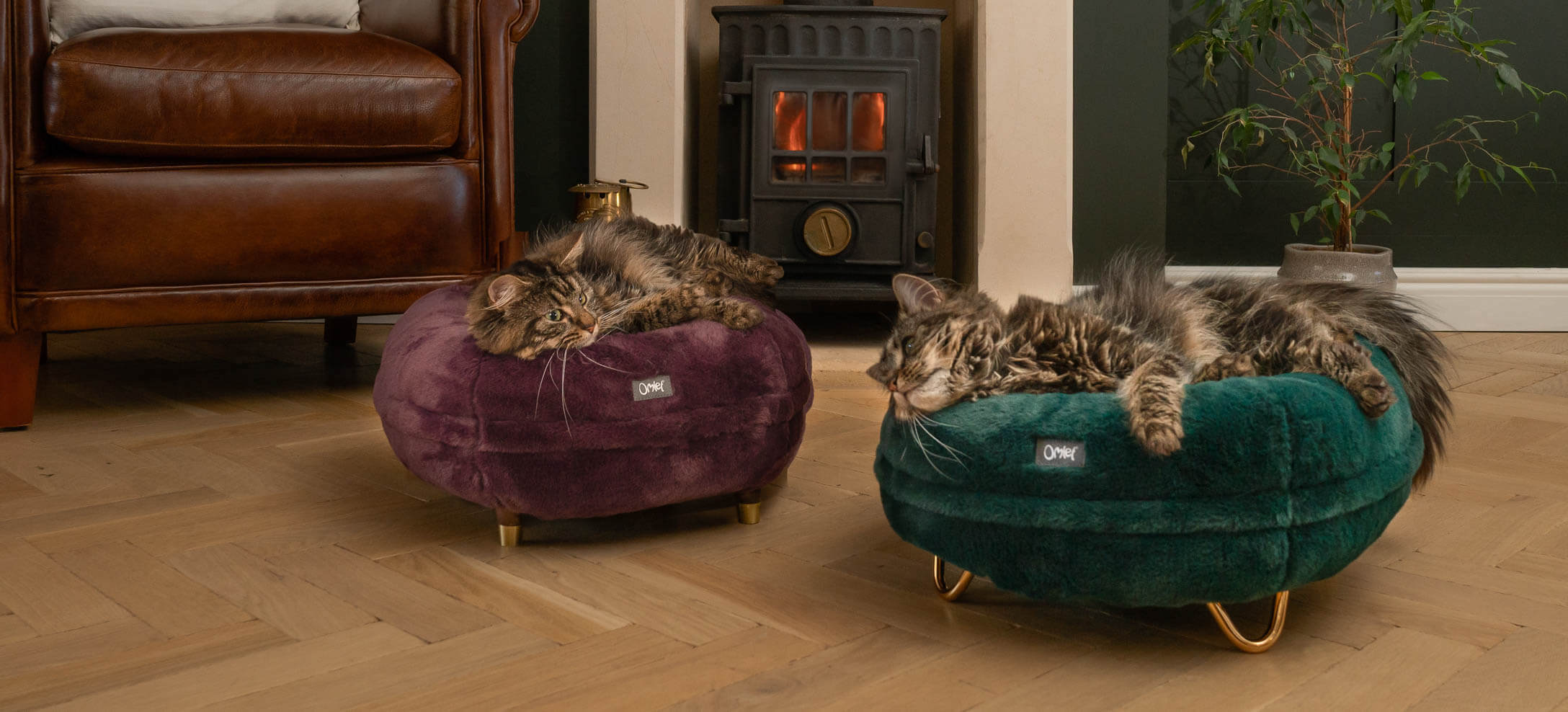 Two cats lying on Omlet's Maya Donut Cat Beds from the Cosy Collection