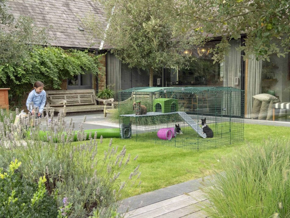 Girl outside with rabbits using Zippi Rabbit Run Platforms