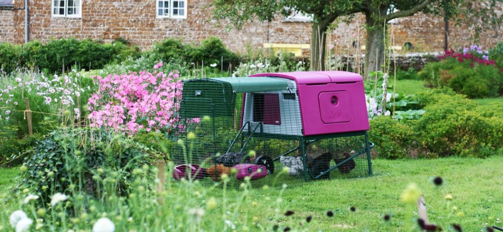 Pink Omlet Eglu Cube Chicken Coop, pink flowers