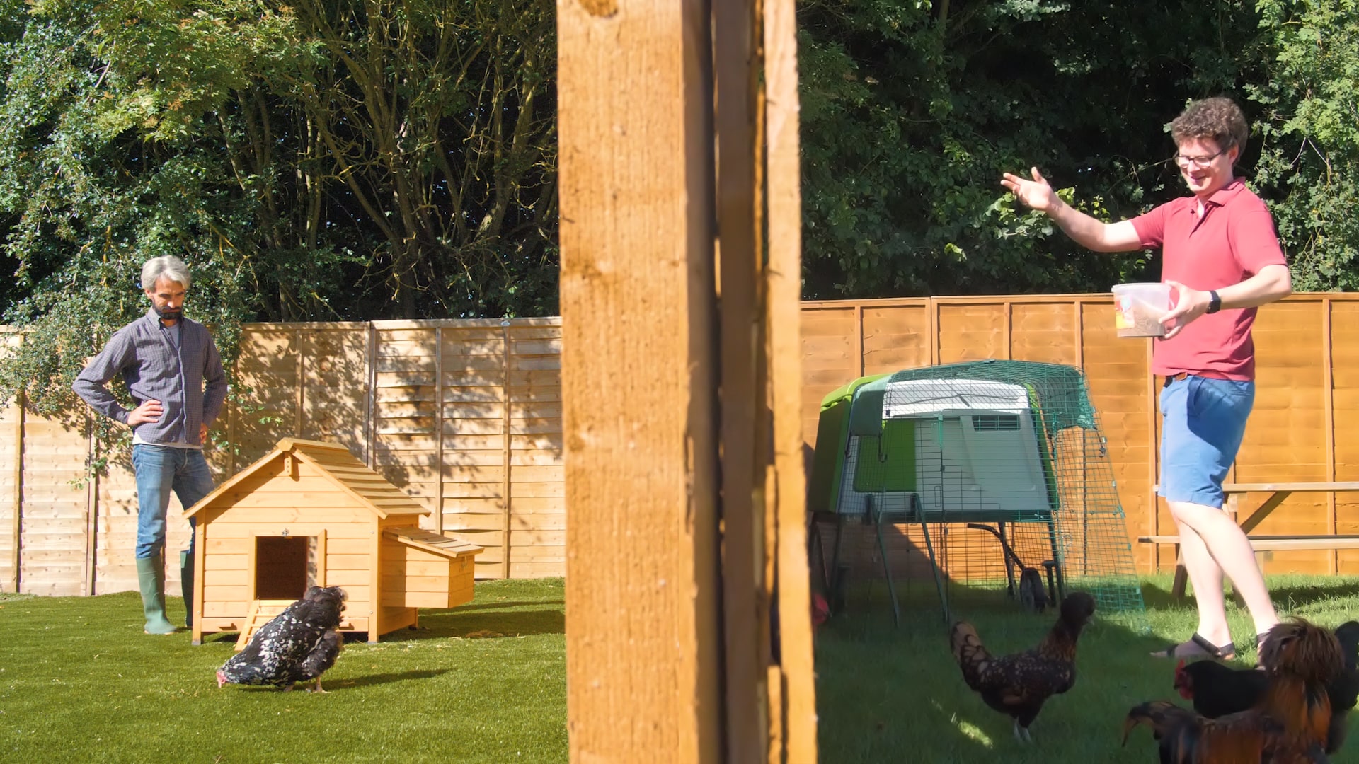 Lenham Wooden Chicken Coop versus Omlet Eglu Cube Chicken Coop