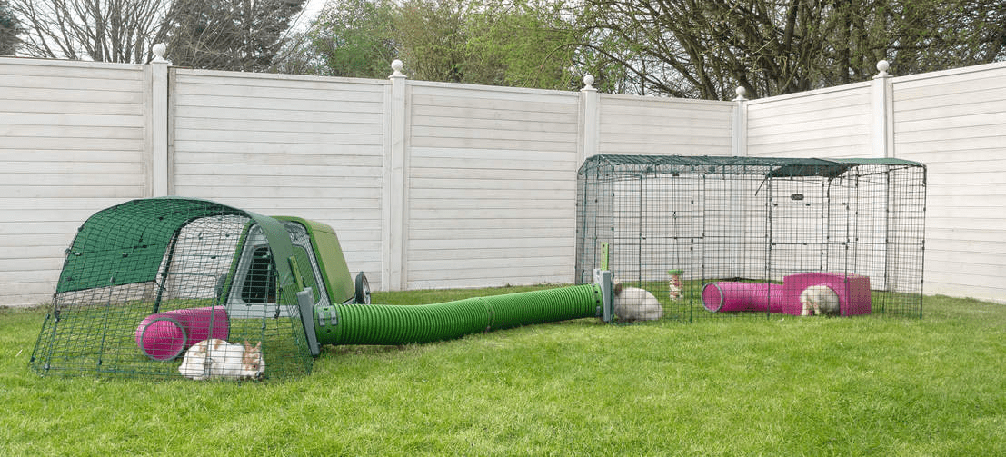 How to Keep Rabbits Cool in Summer Omlet Blog UK