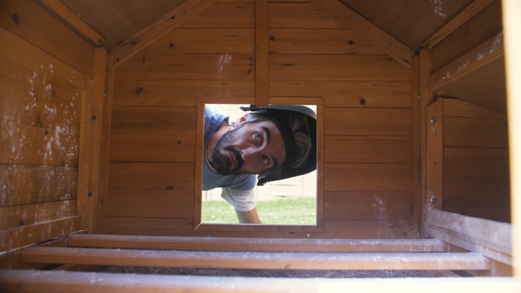 Looking inside wooden chicken coop 2