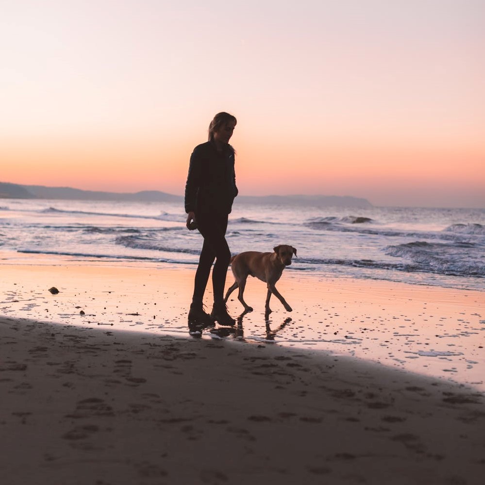 Silhouette av en kvinne som går tur med hunden sin på stranden i solnedgangen.