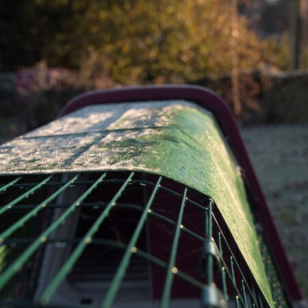 A close up of an Eglu coop outside