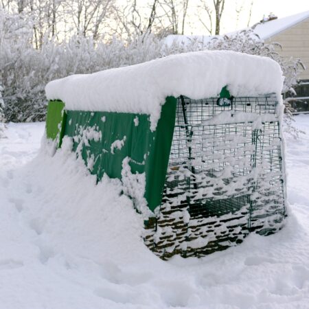 An Eglu coop covered in the snow