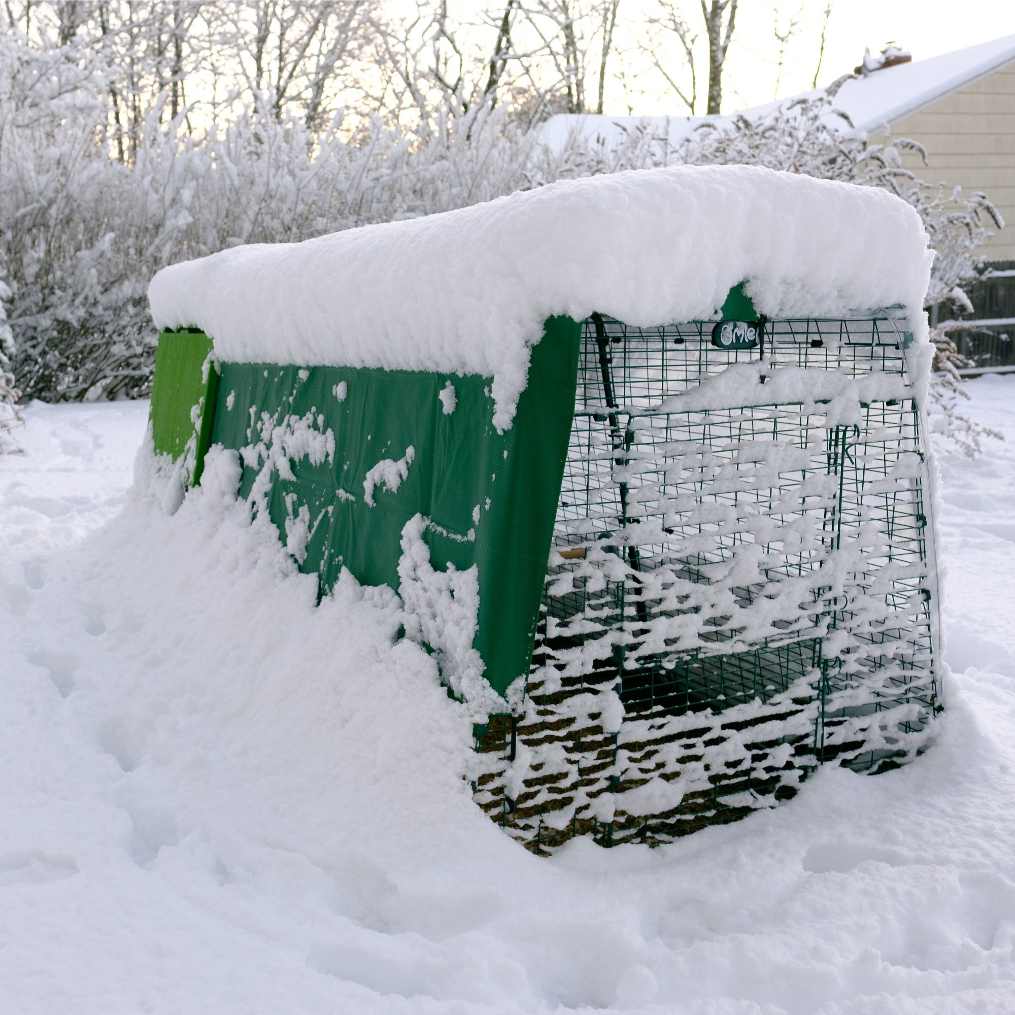 How to Prepare your Chicken Coop for Winter Omlet Blog UK