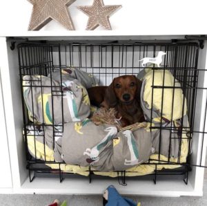 Turning a crate into a cosy den for your dog