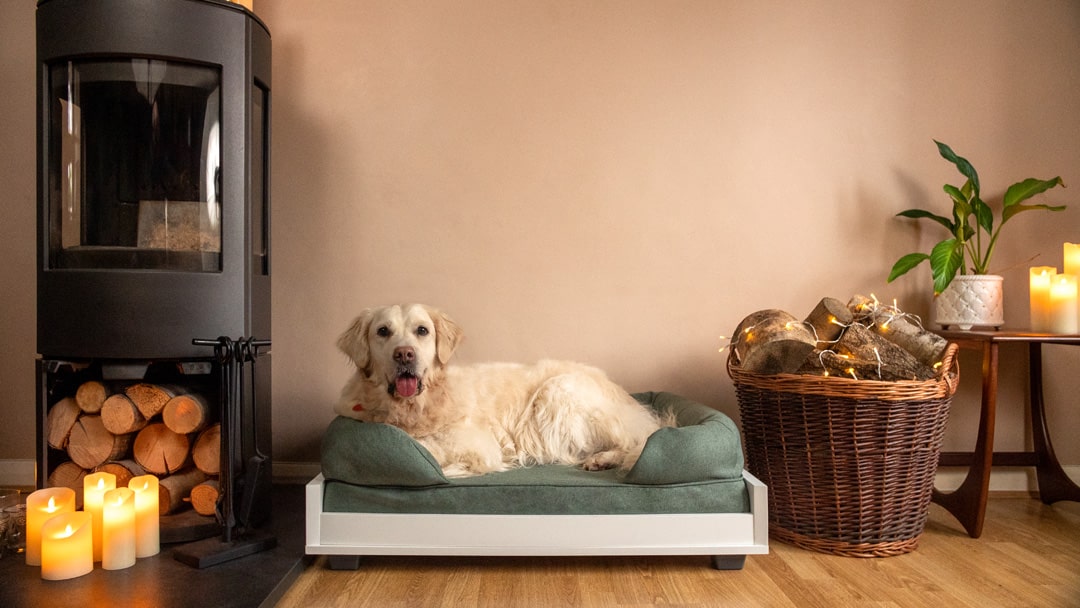 A golden retriever lying on a blue Omlet Bolster dog bed