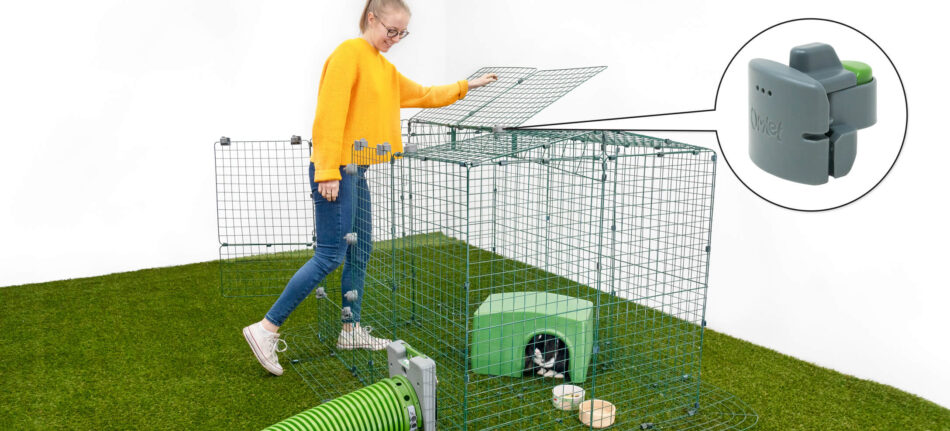 Woman watching rabbit in Zippi Rabbit Run, secured with Easy Access Lock for Zippi Runs