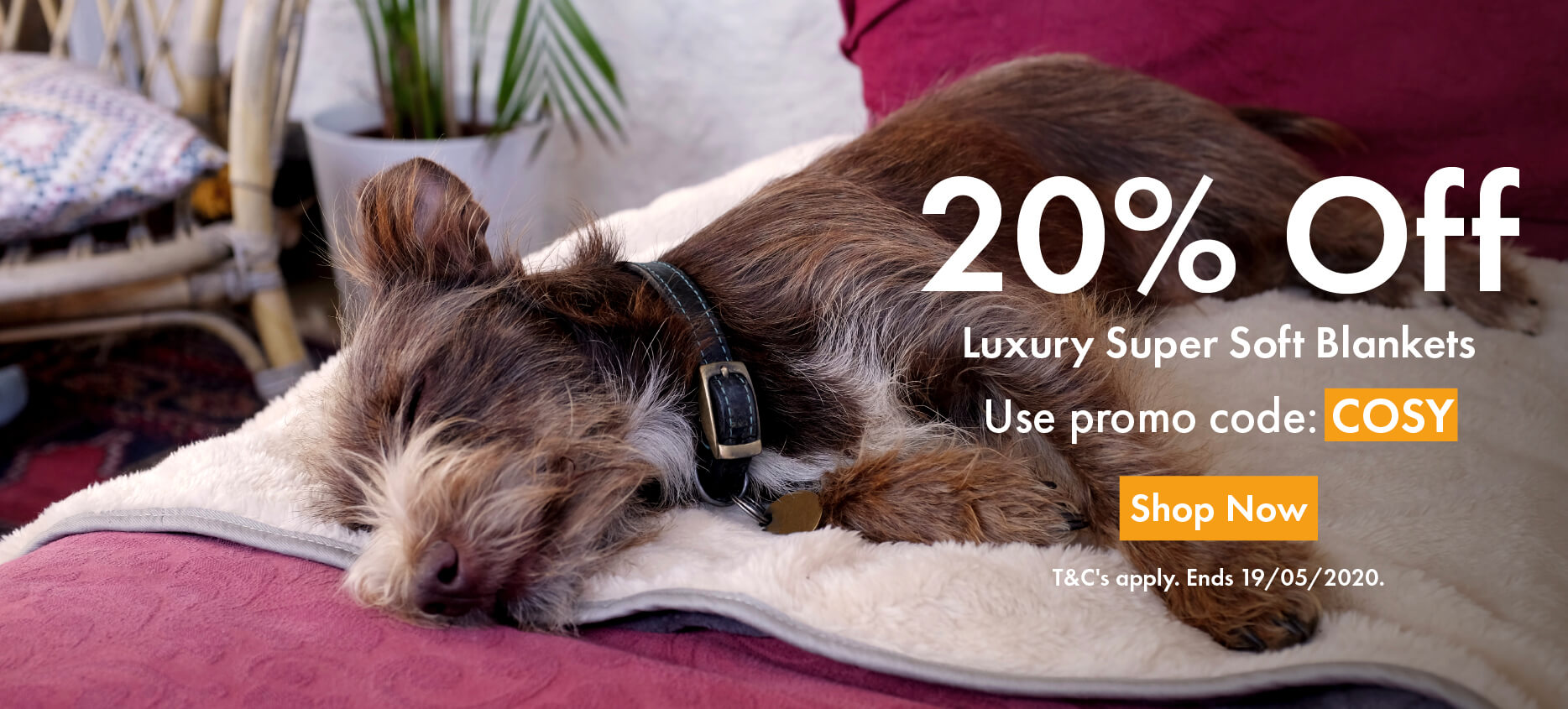 Get 20 off our Luxury Super Soft Blankets for a limited time only