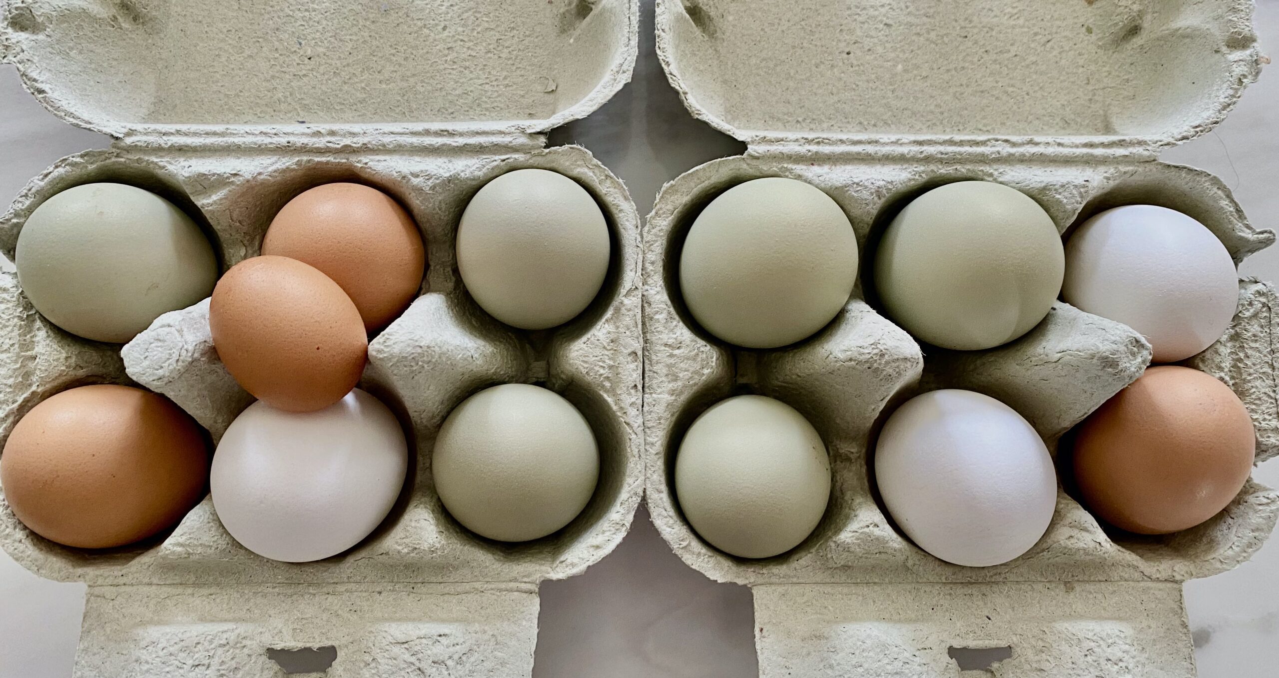 Eggs in egg boxes