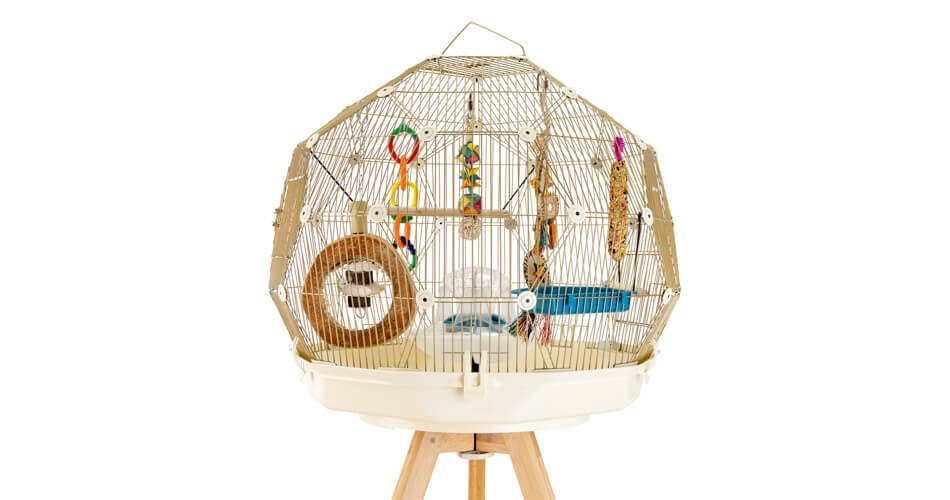 Budgie toys outlet uk