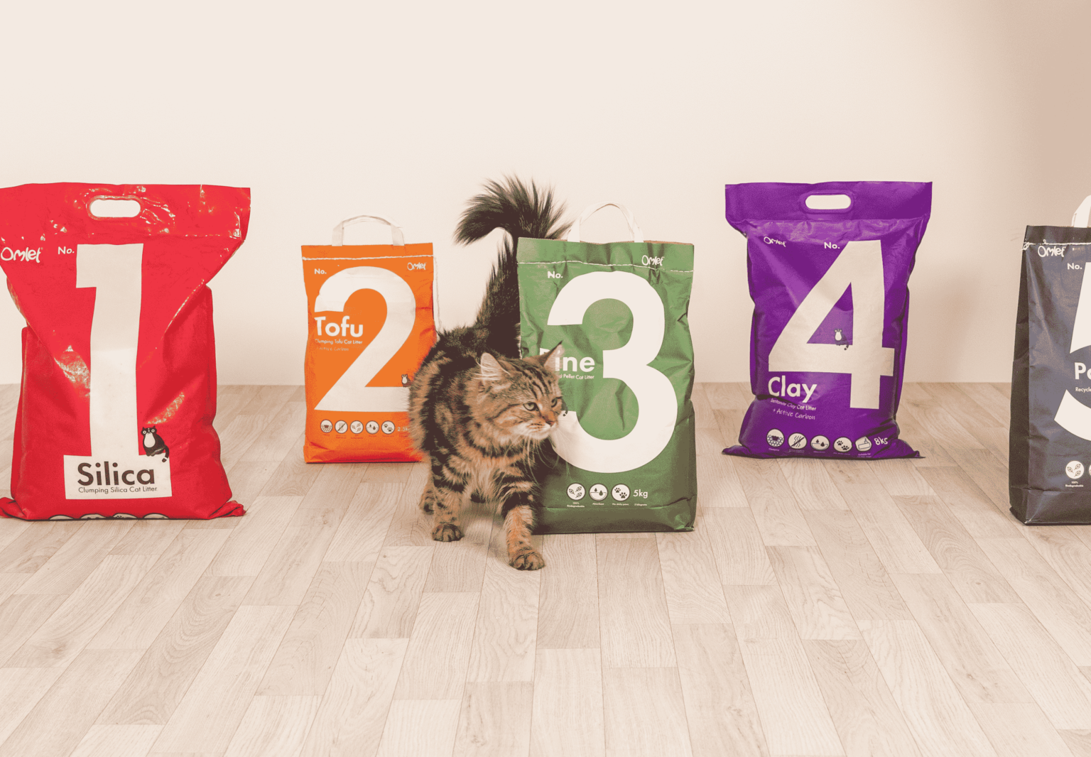 How to Litter Train a Cat Omlet Blog UK