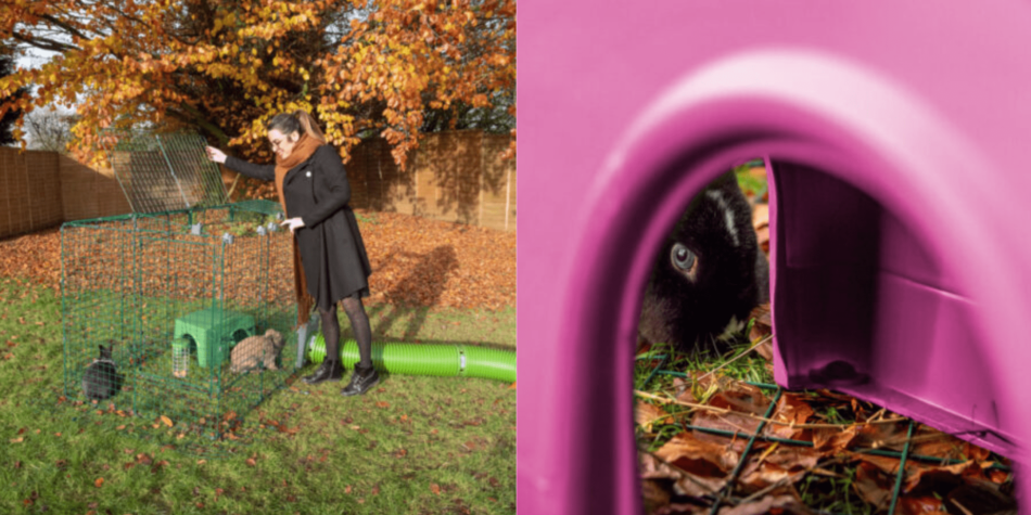 Autumnal collage of rabbit in Zippi Rabbit Shelter and woman with Zippi Tunnel System