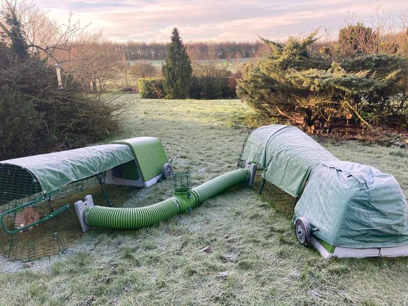 Omlet Eglu Go Rabbit Hutches in frost during winter