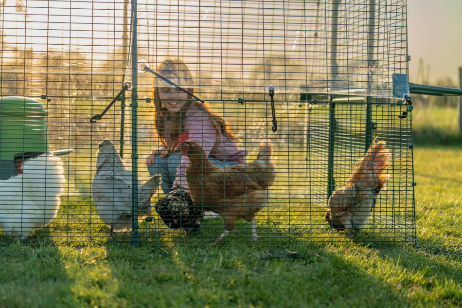 girl sitting in omlet eglu pro run with chickens