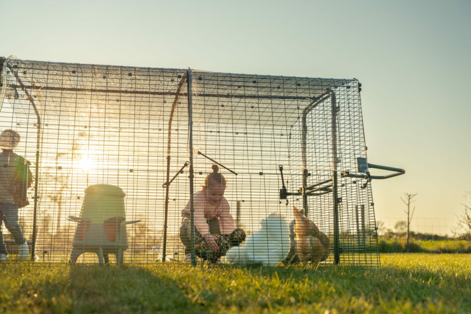 young girl sitting with chickens in eglu pro chicken run