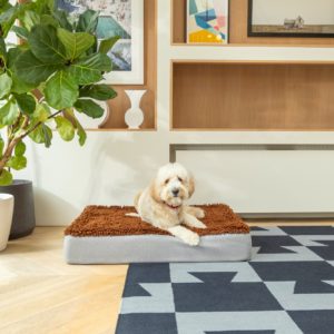 Golden Doodle laying on topology dog bed with Microfiber topper 