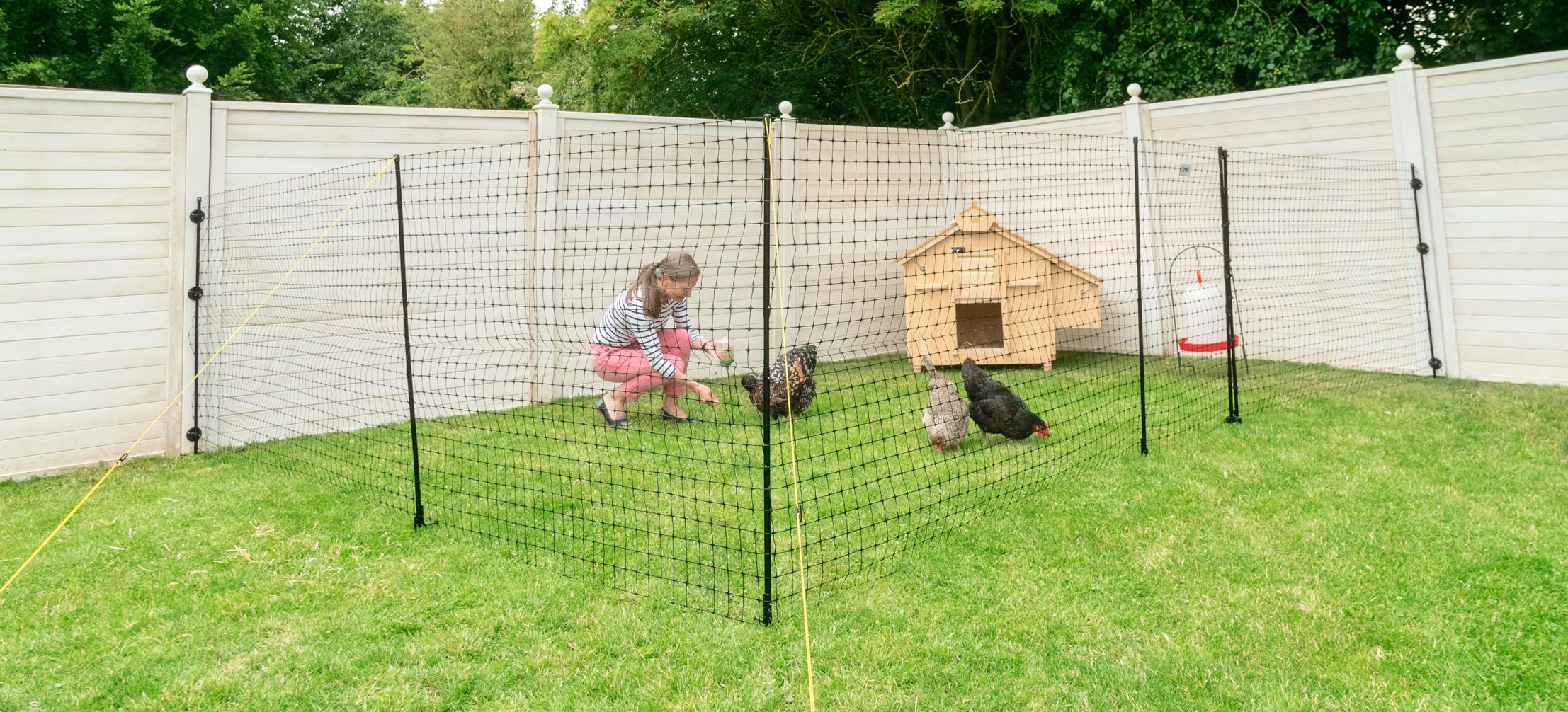 Woman with different chicken breeds with chicken fencing