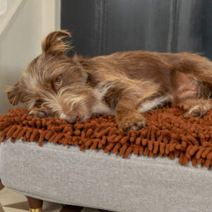 Een bruine hond slapend op een Topology mand met microvezel topper