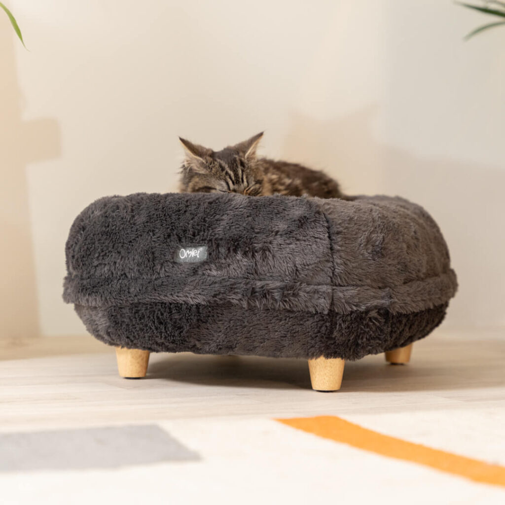 Bewustzijn klein bevroren Waarom slaapt mijn kat niet in zijn eigen mand? - Omlet Blog NL