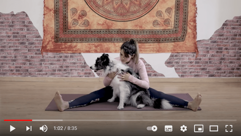 Screenshot of video of woman teaching doga