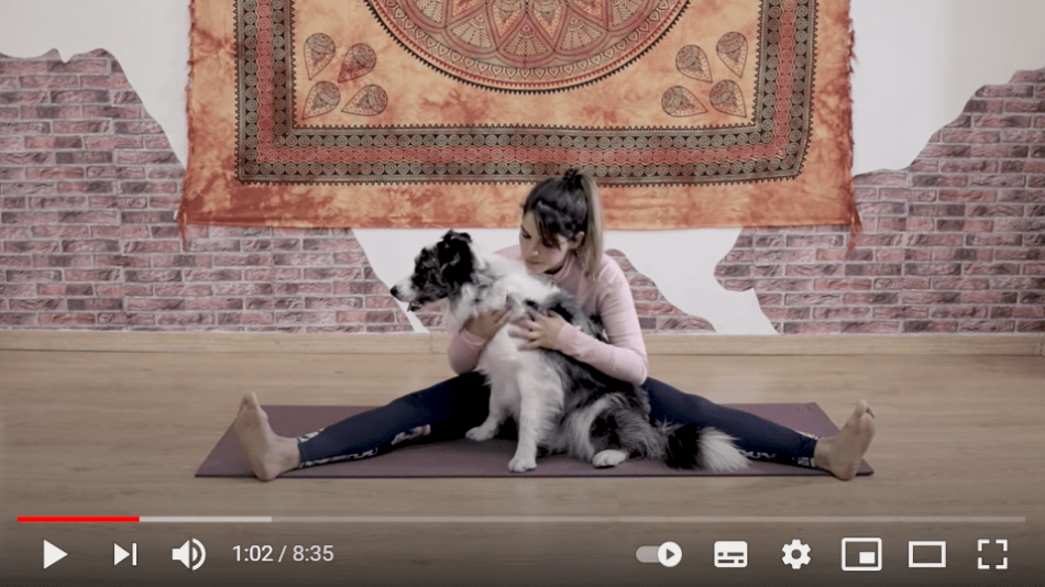 Doga: Yoga for you and your Dog