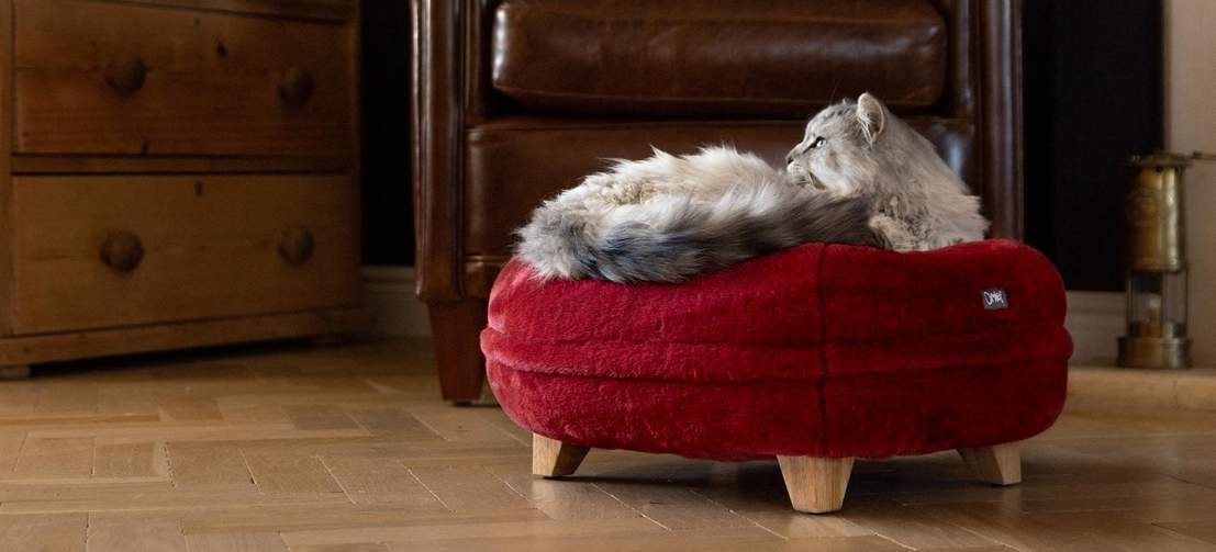 Kat liggend op Omlet Maya Donut kattenmand in robijnrood