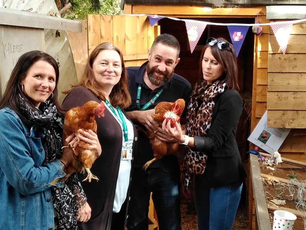 Pride of Omlet: Free Support - Omlet Blog UK
