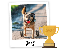 Pride of Omlet: Stand Up for Disabled Animals - Omlet Blog UK