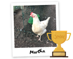 Pride of Omlet: The Constant Companion - Omlet Blog UK