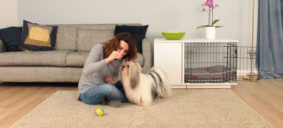 Woman teaching her dog tricks next to Omlet Fido Studio Dog Crate