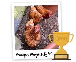 Pride of Omlet: Free Support - Omlet Blog UK