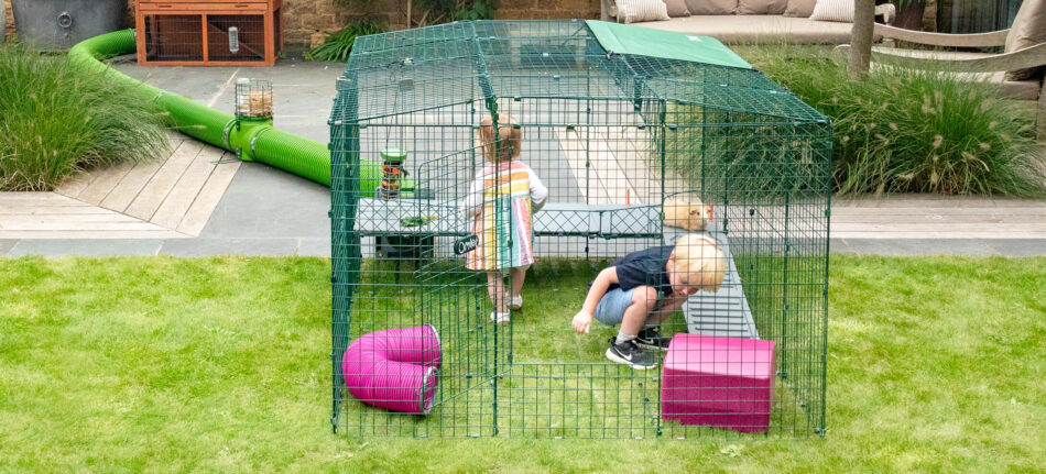 Children playing with guinea pigs using Zippi Guinea Pig Run Platforms