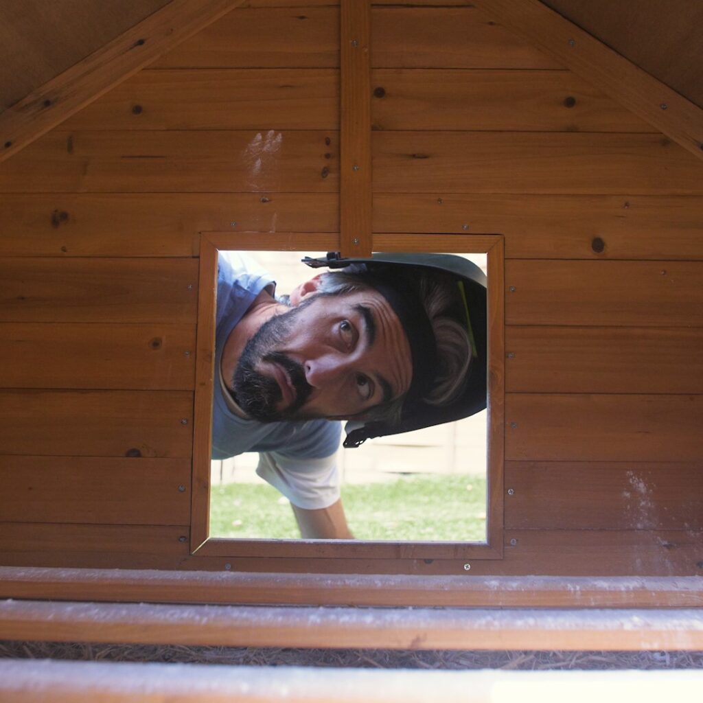 Looking inside wooden chicken coop