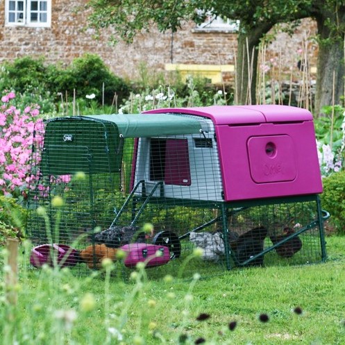 Pink Omlet Eglu Cube Chicken Coop