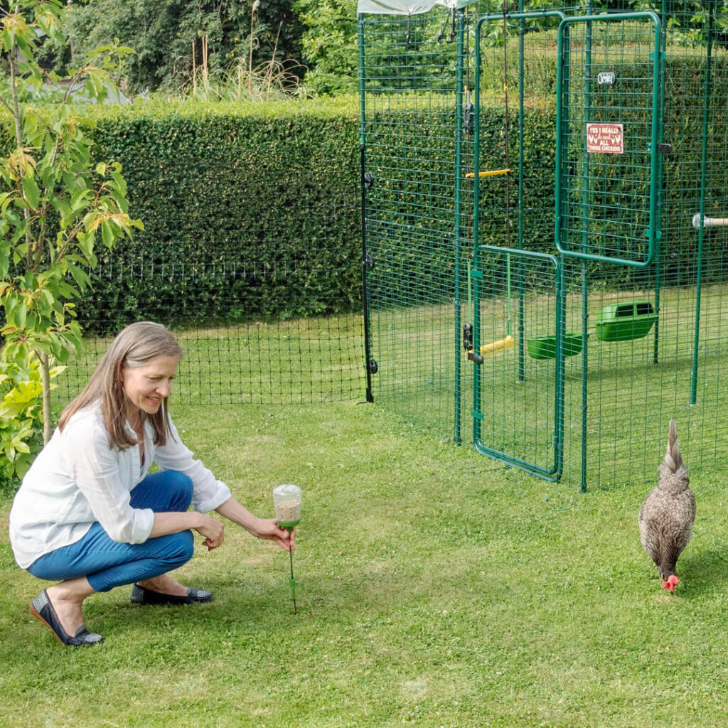 Chicken keeper, Omlet Chicken Fencing