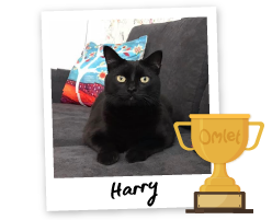 Pride of Omlet: Saving Sophia’s Life - Omlet Blog UK