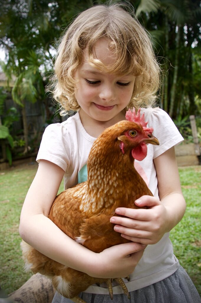 Giocattoli Per Uova Di Pollo Di Pasqua Per Bambini - Gioco Di