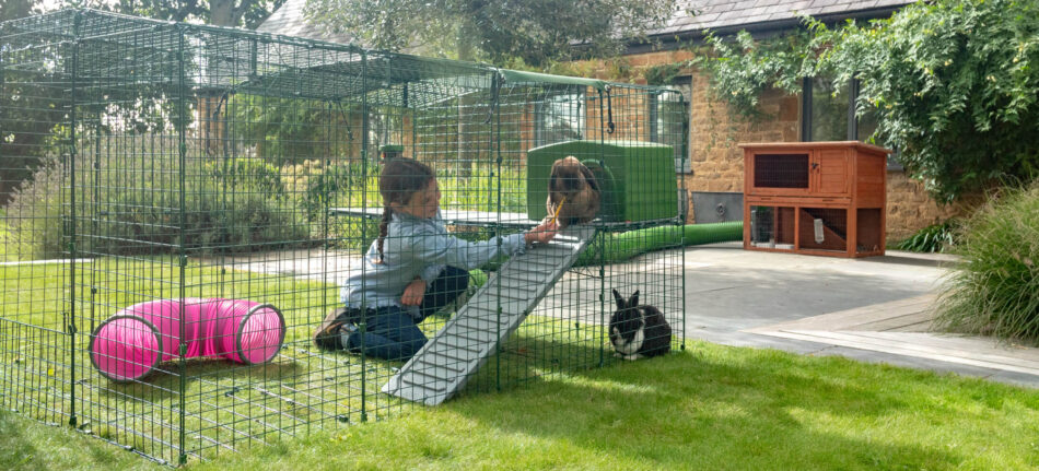 Girl feeding rabbits as they use the Omlet Zippi Platforms