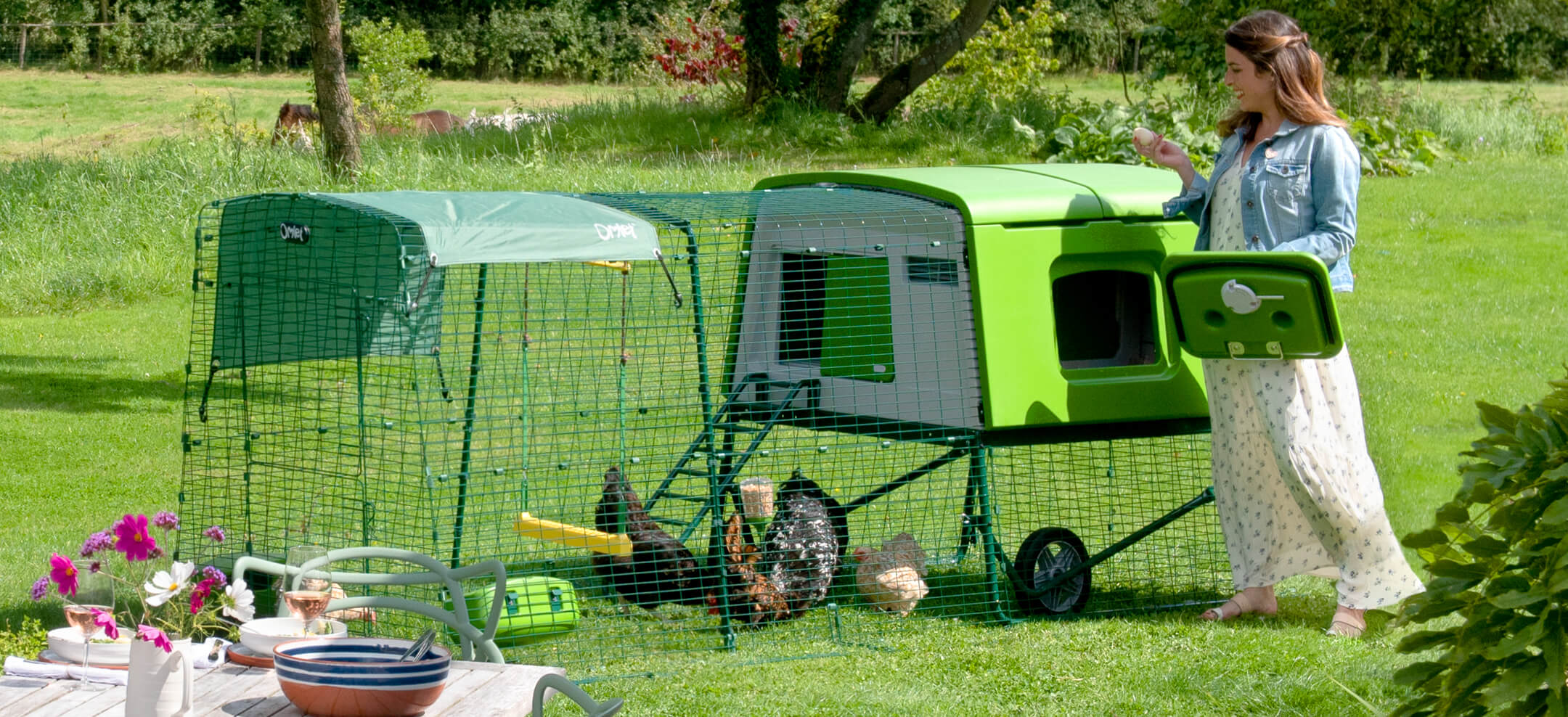 Collecting eggs from the Omlet Eglu Cube Chicken Coop