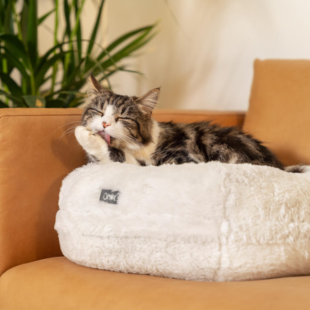 Cat grooming itself on the Maya Donut Cat Bed