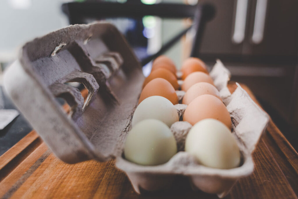 Close up egg box 2